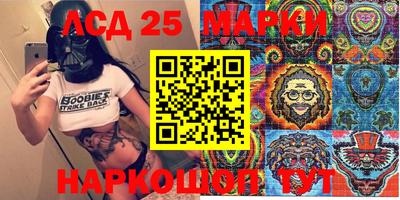 гидропоника Пенза