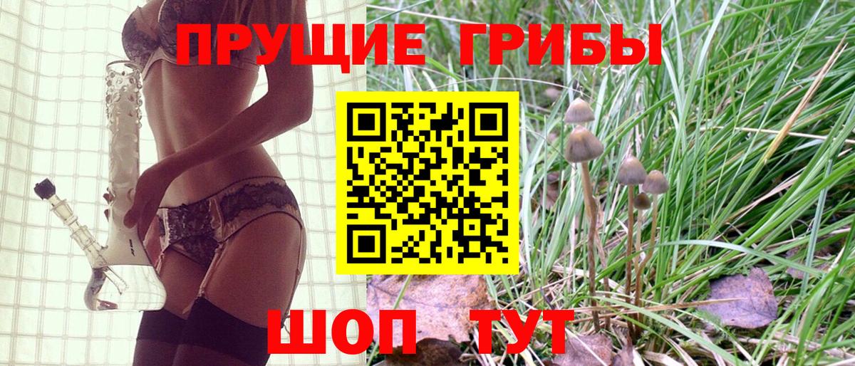 Галлюциногенные грибы Cubensis Урус-Мартан