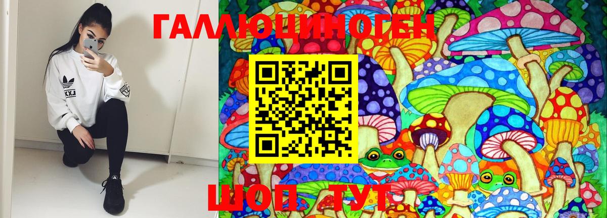 Урус-Мартан  Галлюциногенные грибы мицелий  Вход с VPN 